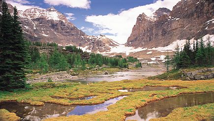 The Rocky Mountaineer & Canadian Rail
